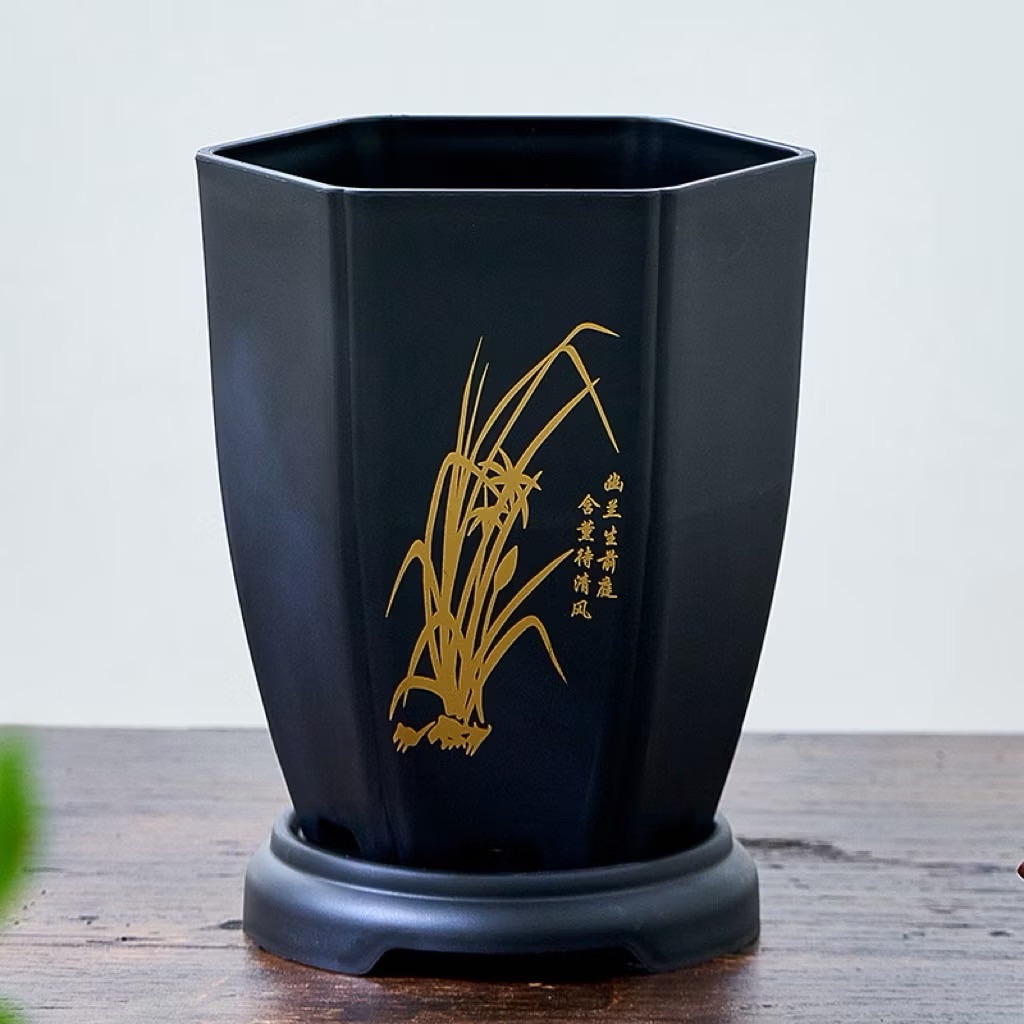 蘭盆 矮種蘭花專用塑膠盆