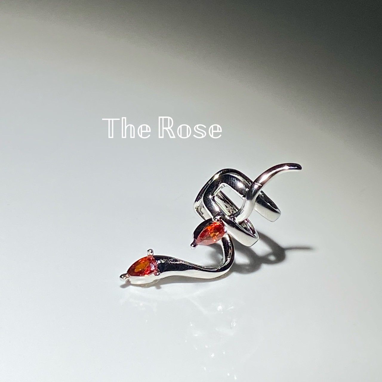 『俯視』耳骨夾 高級感鋯石紅眼蛇金屬耳骨夾 無耳洞可戴 時尚耳骨夾 E0160 實拍賣家