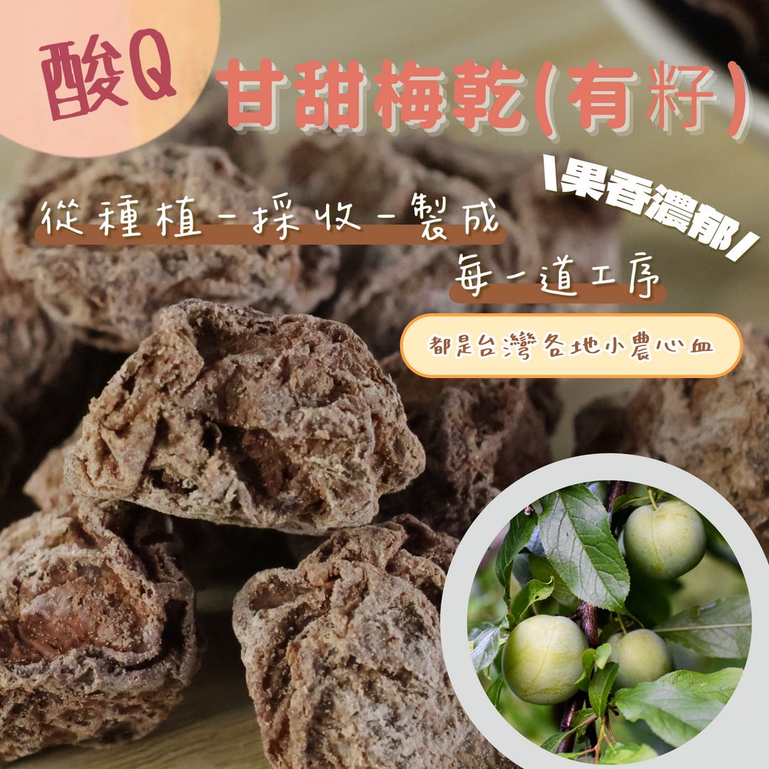 蒜你厲害-甘甜梅乾（有籽）