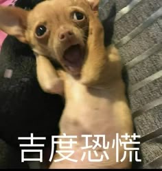 出清