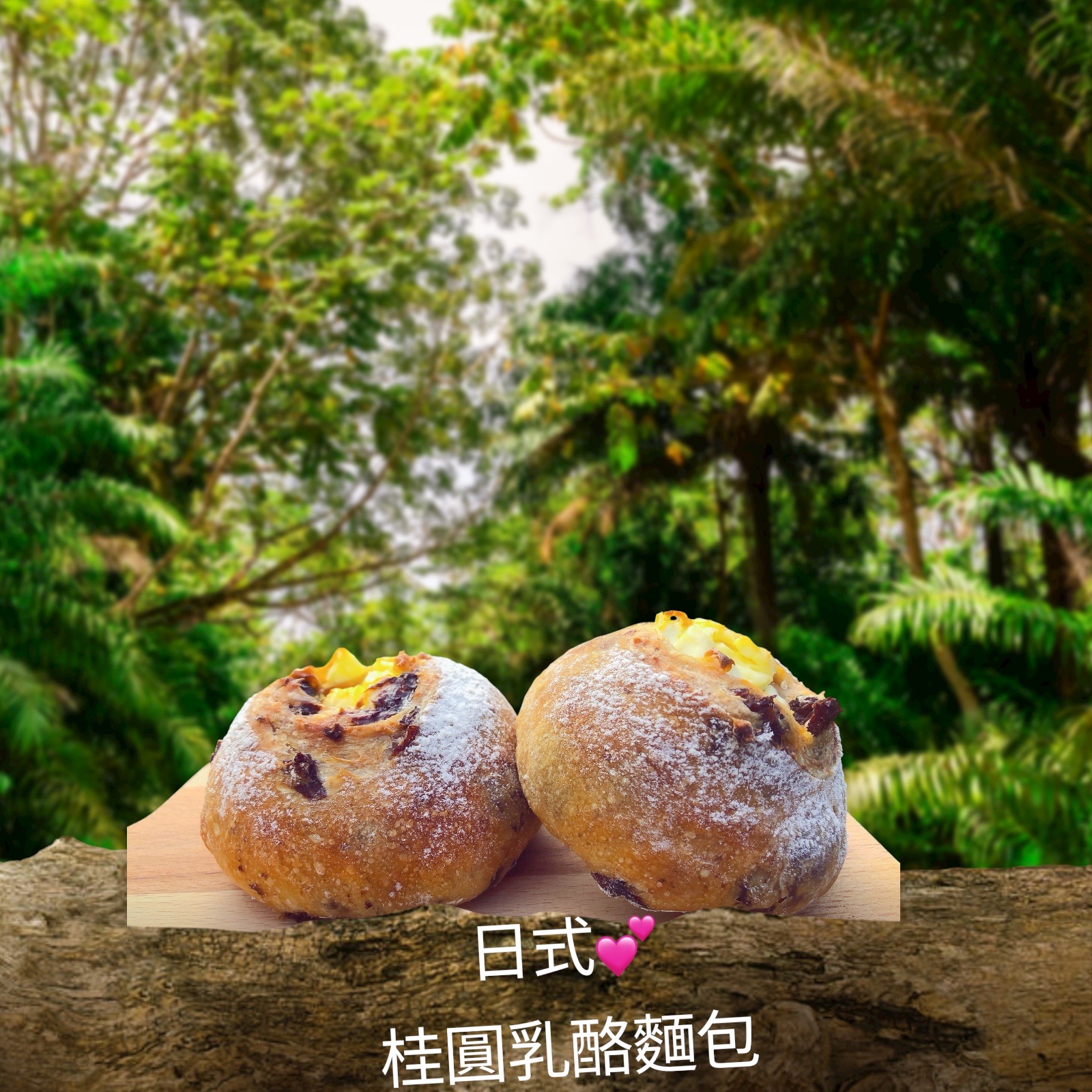 日式桂圓乳酪麵包