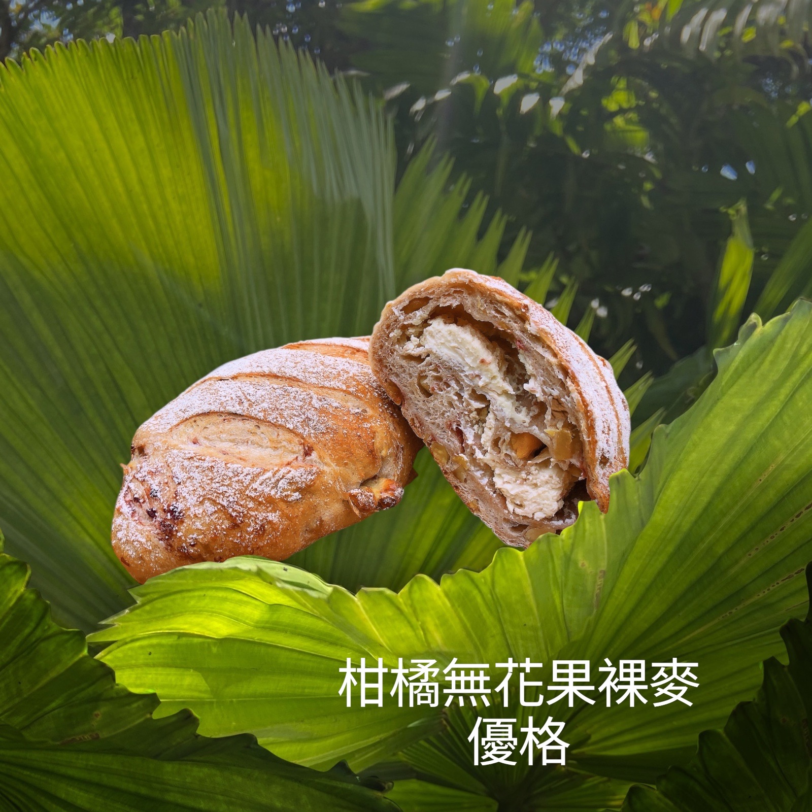 柑橘無花果裸麥優格