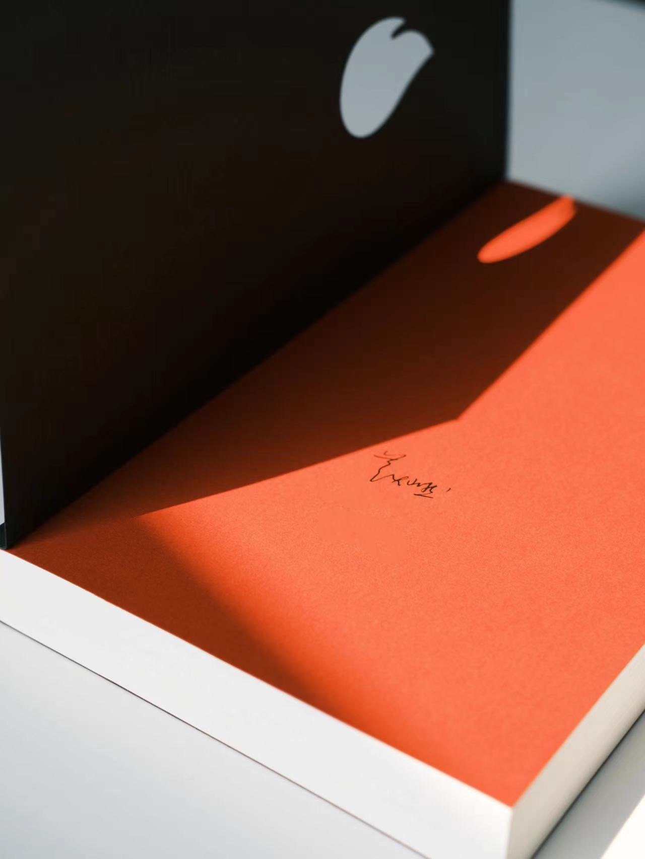 火：魯米抒情詩