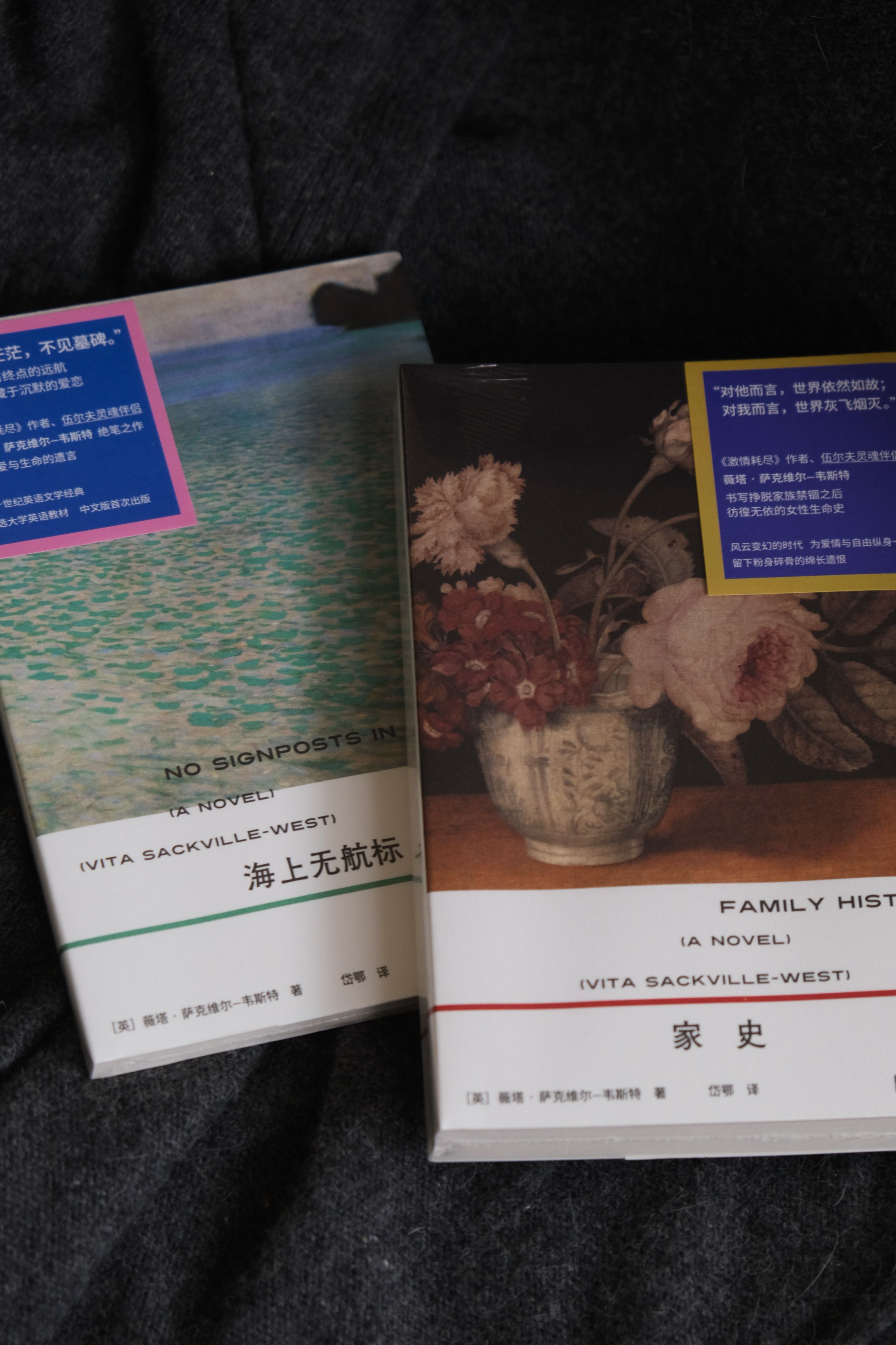 薇塔小說兩本套裝