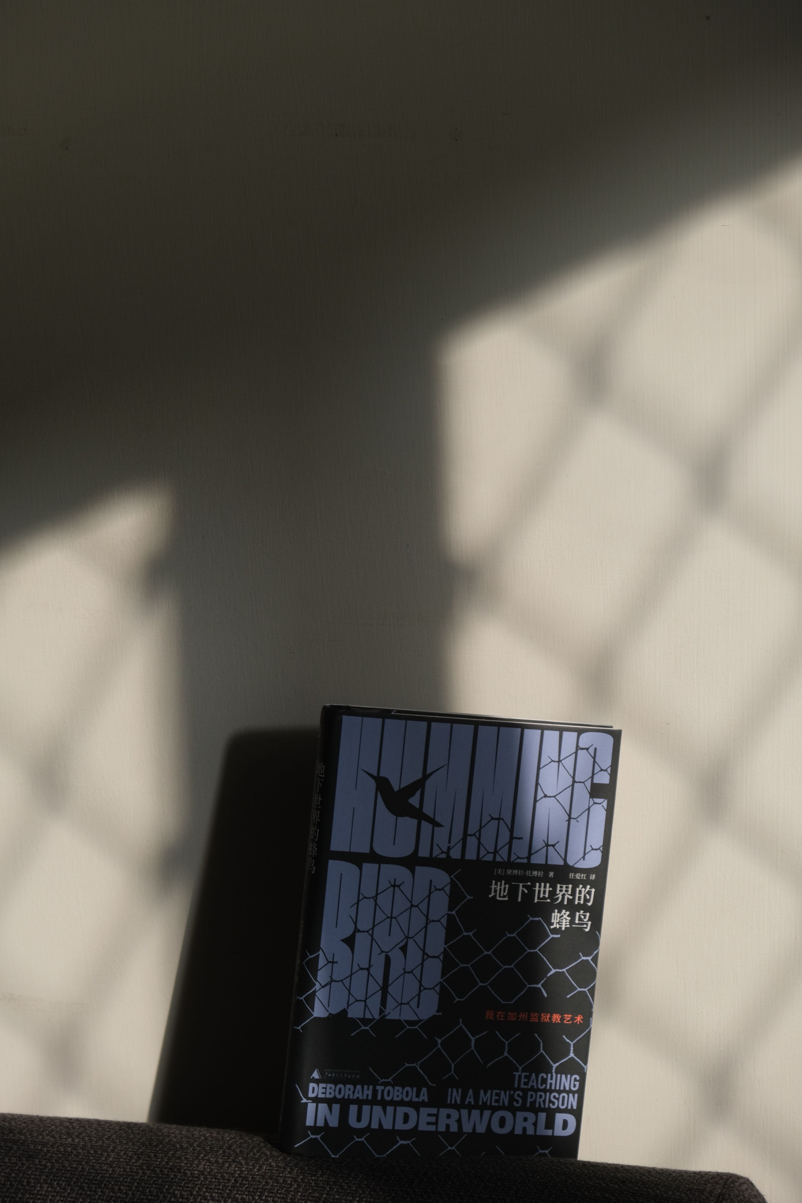 地下世界的蜂鳥