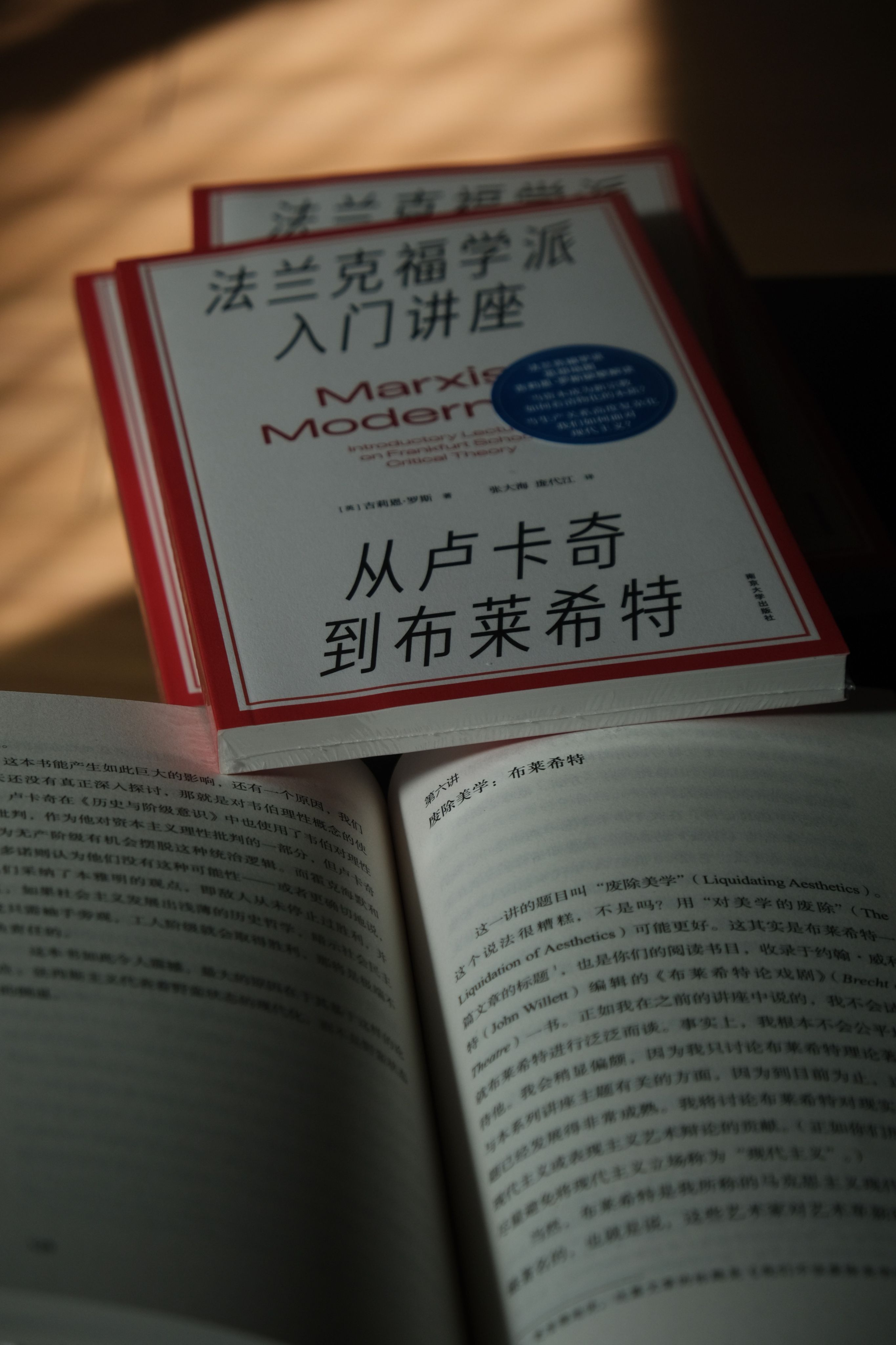 《法蘭克福學派入門講座：從盧卡奇到布萊希特》