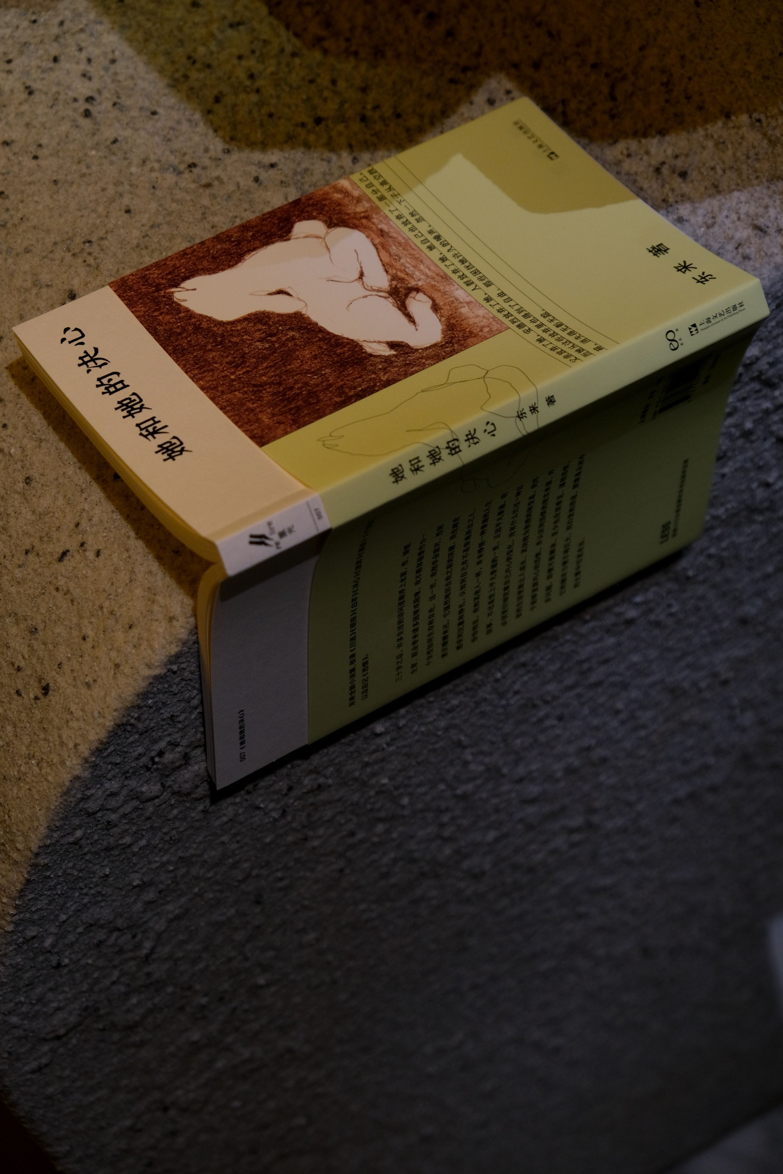 她和她的決心