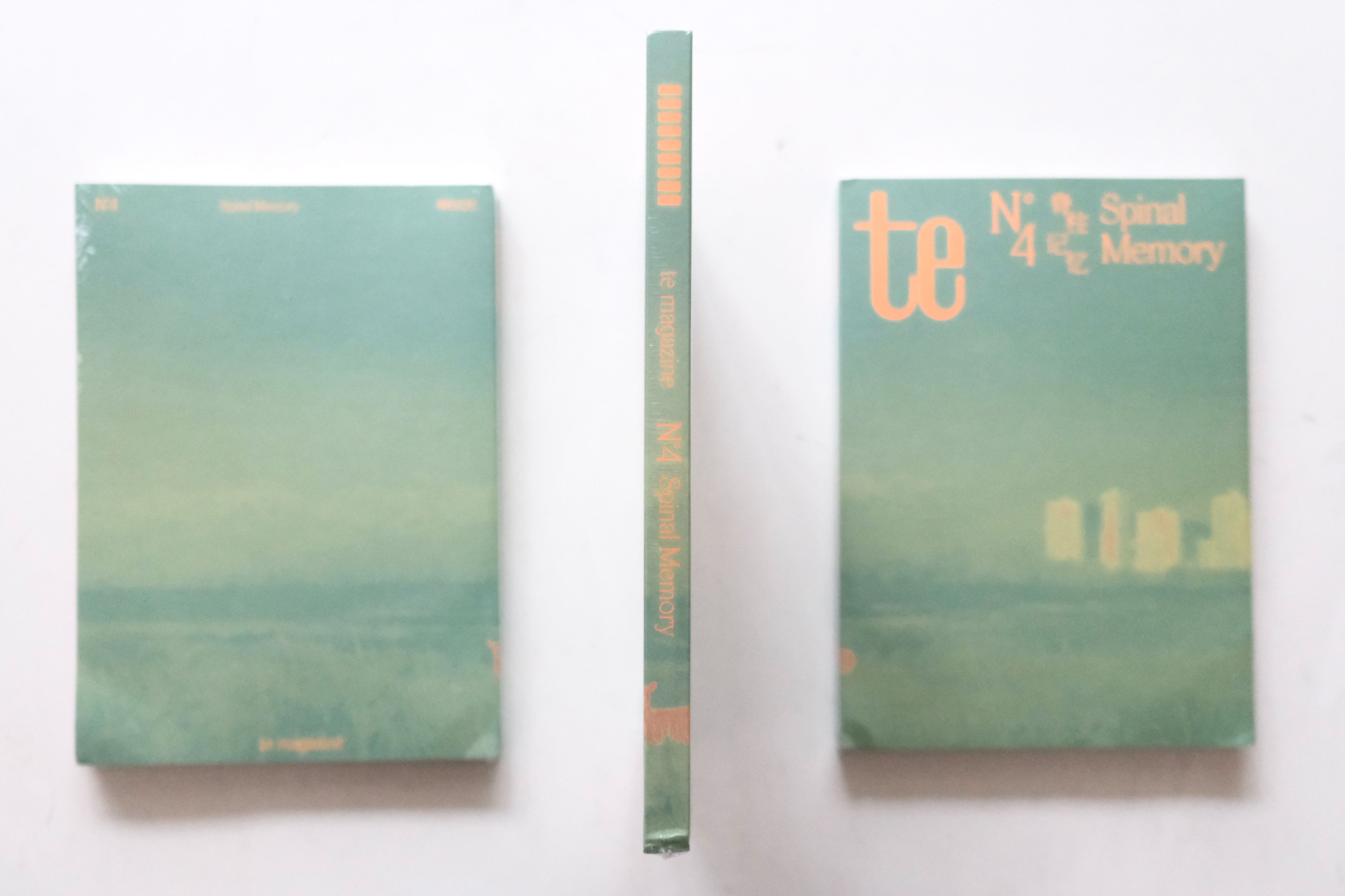 《te issue 4: Spinal Memory 脊柱记忆》