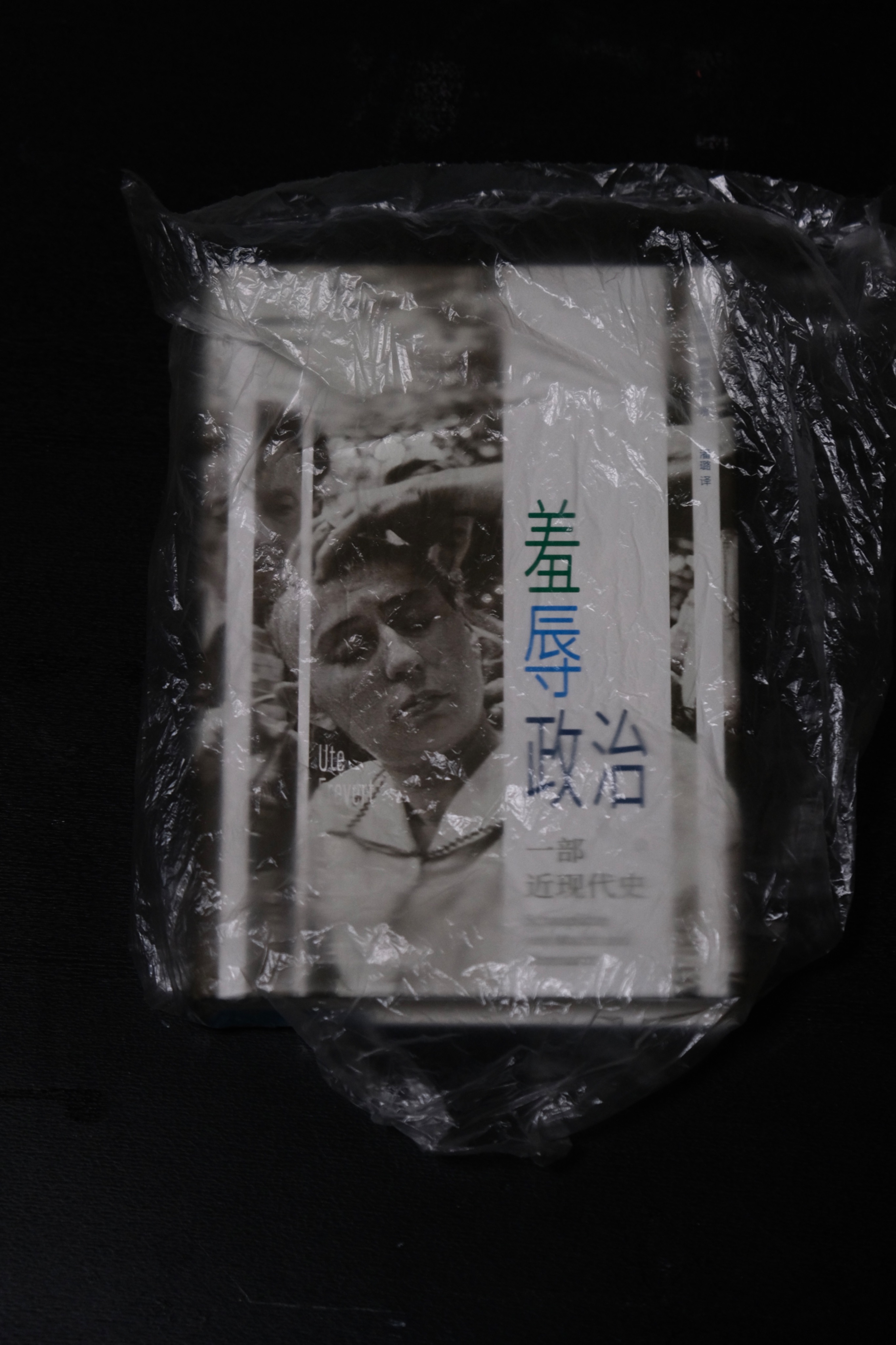 羞辱政治：一部近現代史
