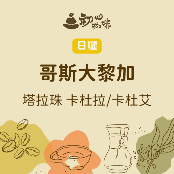日曬 哥斯大黎加 塔拉珠