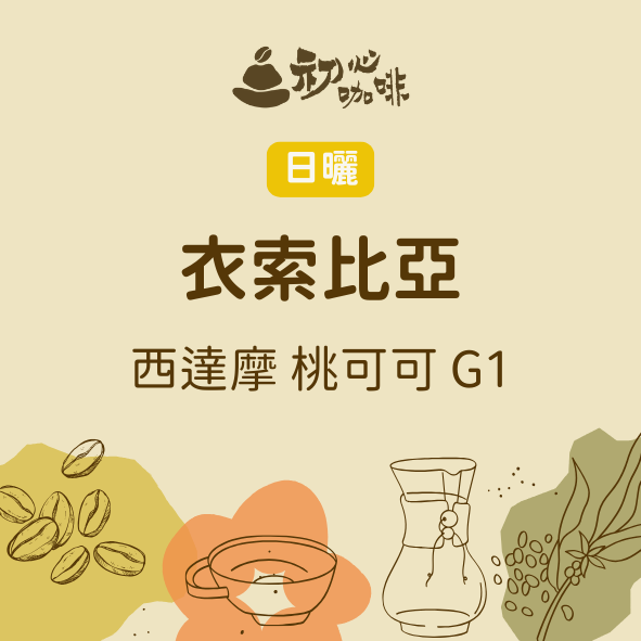 日曬 衣索比亞 桃可可