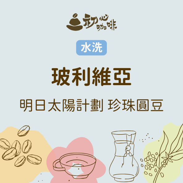 水洗 玻利維亞 明日太陽計劃