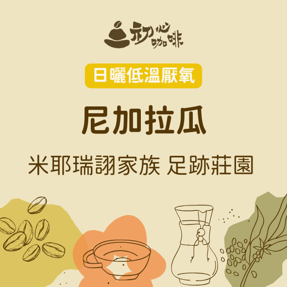 日曬低溫厭氧 尼瓜拉瓜 足跡莊園