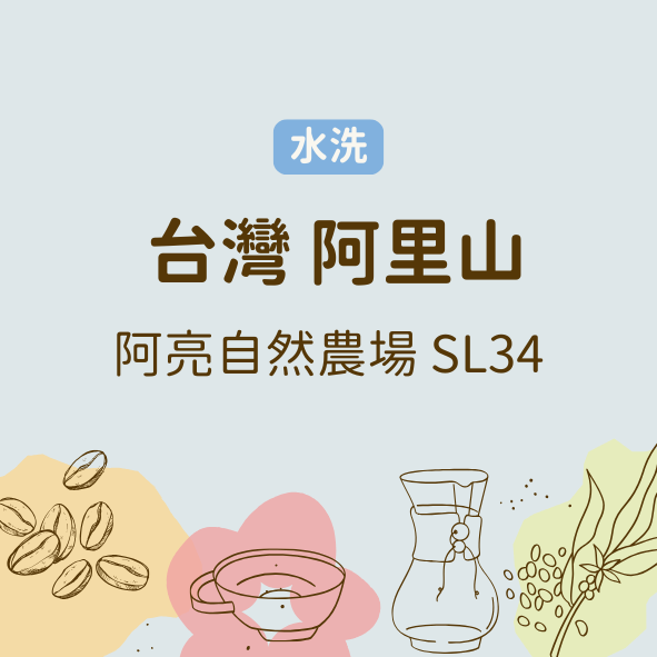 台灣 阿里山 阿亮自然農場 SL34 （淺中焙）