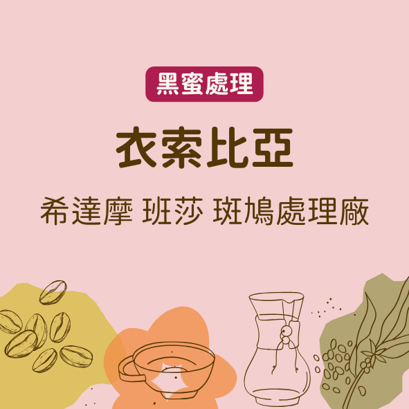 衣索比亞 希達摩 班莎 斑鳩處理廠（淺中焙）