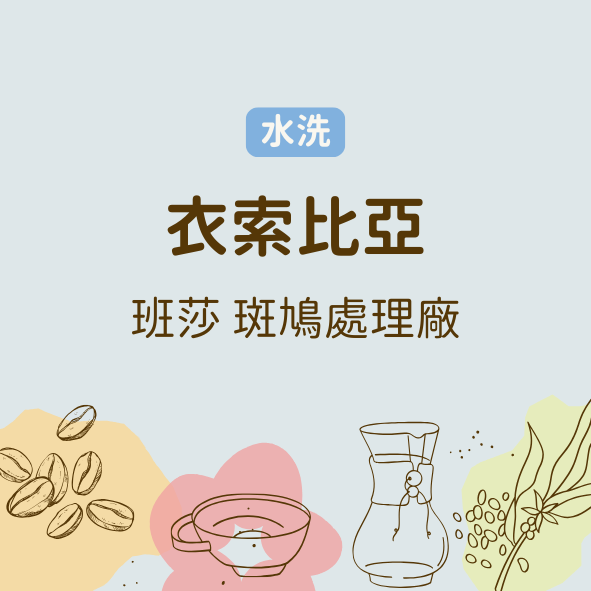 衣索比亞 希達摩 班莎 斑鳩處理廠（淺焙）