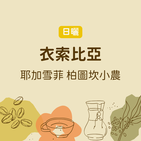 衣索比亞 耶加雪菲 AMA計畫 柏圖坎小農 （淺中焙）