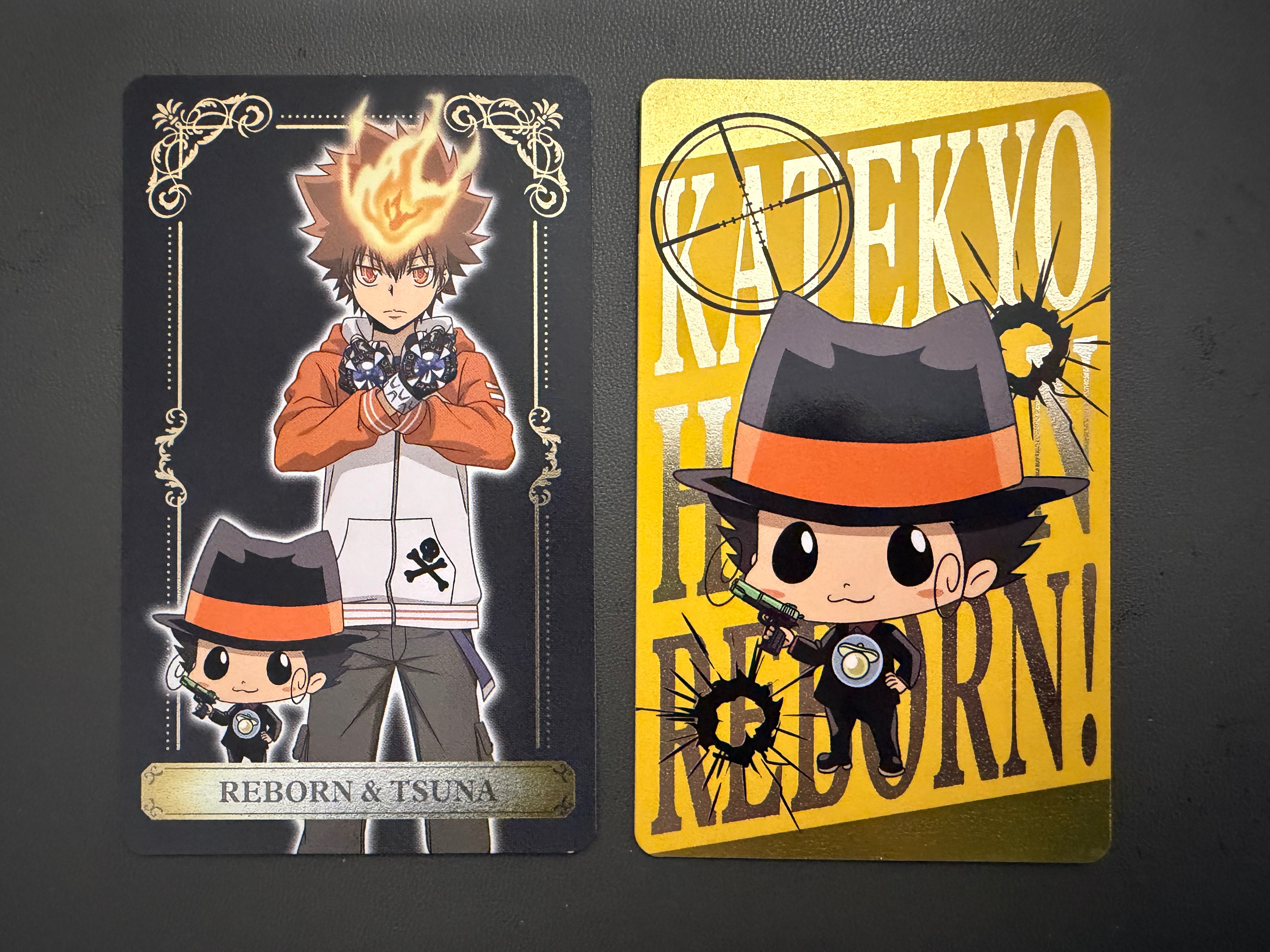 家教 阿綱+里包恩金屬小卡