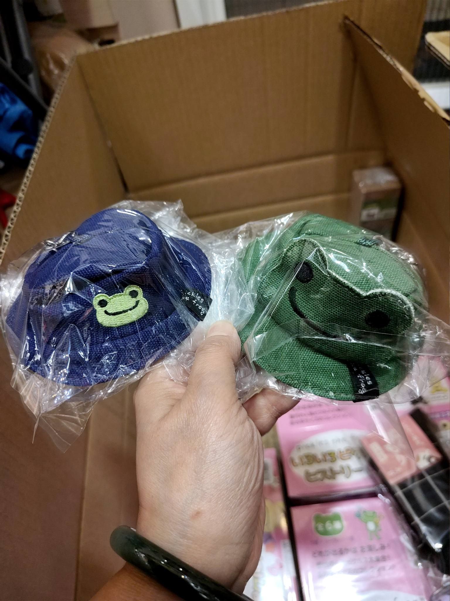 pickles the frog泡菜蛙 青蛙漁夫帽 鑰匙圈＆零錢包 吊飾