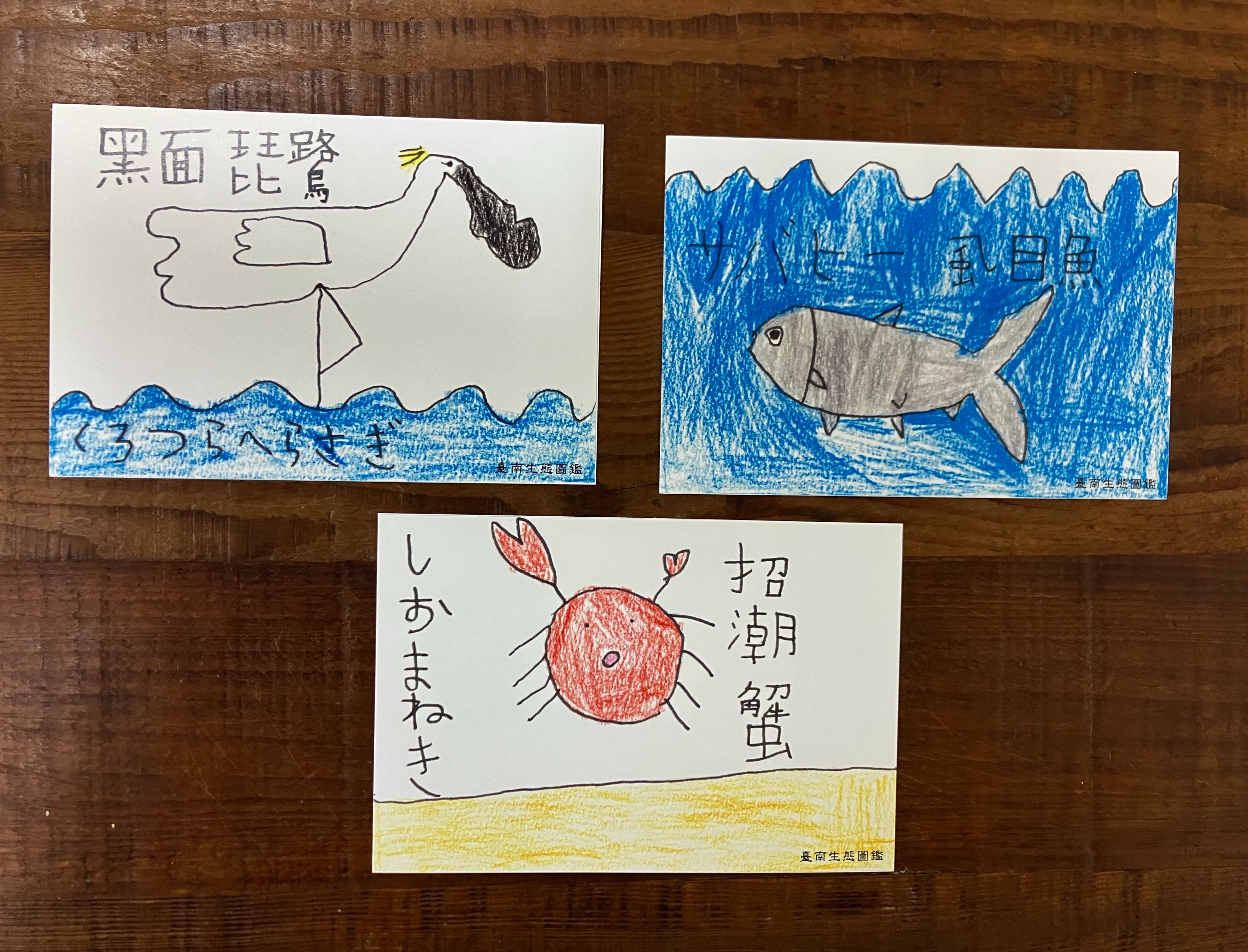 台南生態明信片套組（黑面琵鷺，招潮蟹，虱目魚）