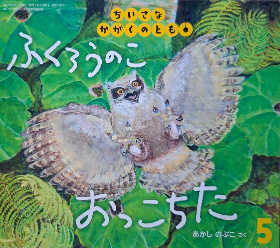 （二手：來自日本合作夥伴的捐贈書）ふくろうのこ　おっこちた　掉下來的小貓頭鷹