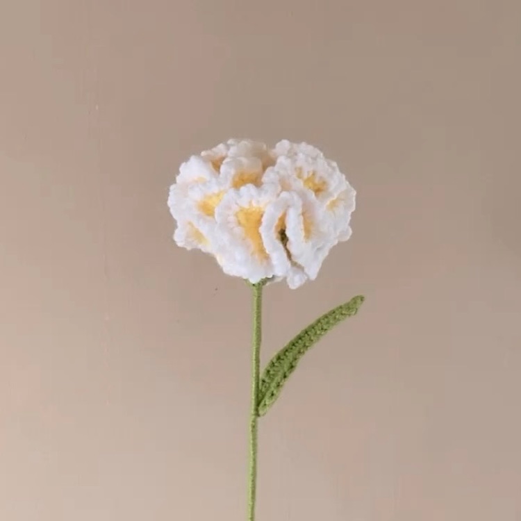 《母親節鉤針康乃馨材料包》