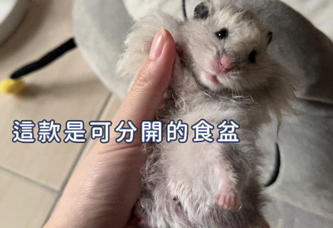 預購3D列印可以分開的食盆