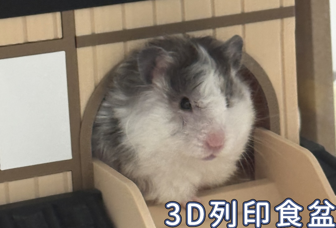 預購各式各樣3D列印食盆