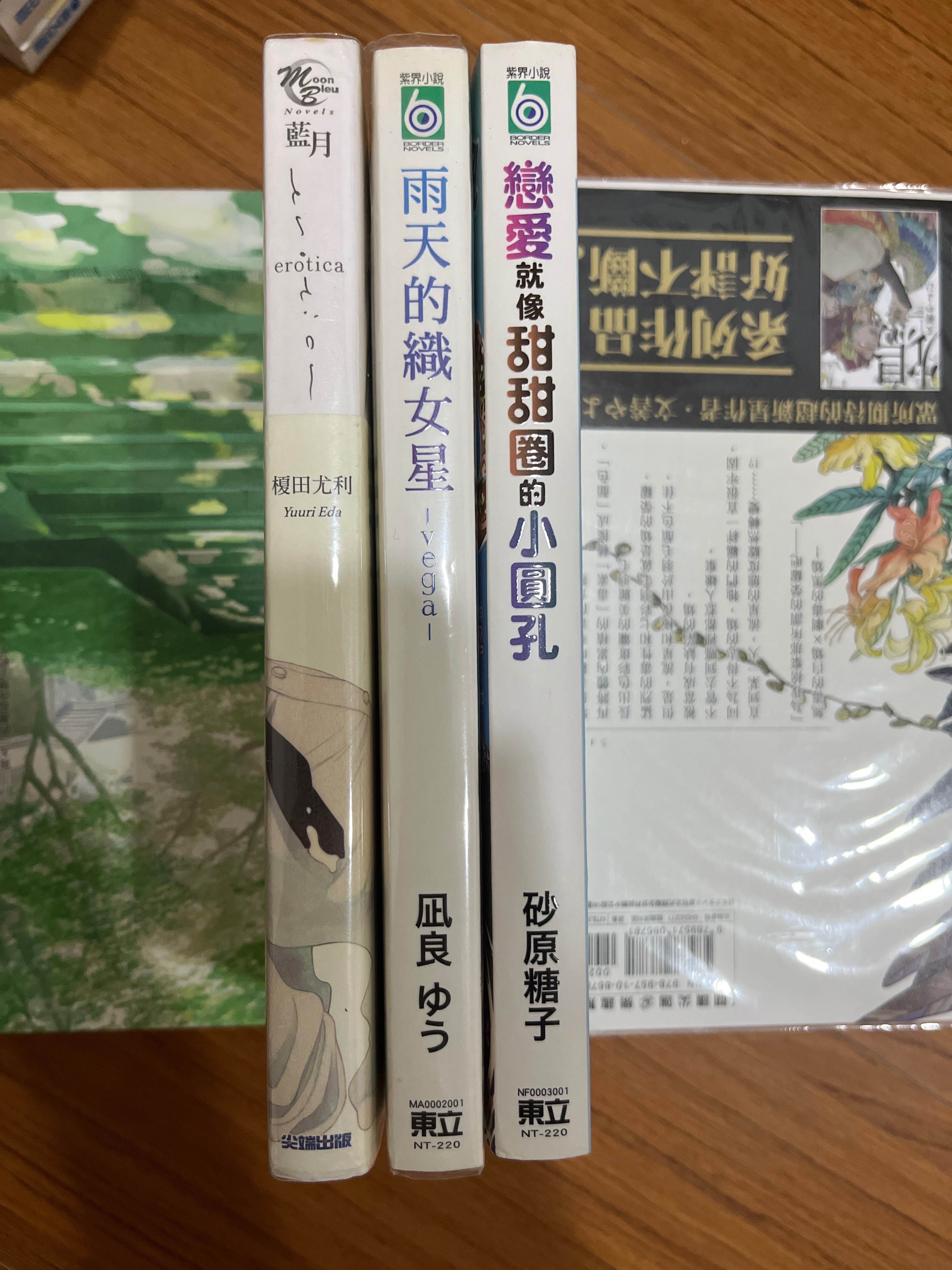 BL小說