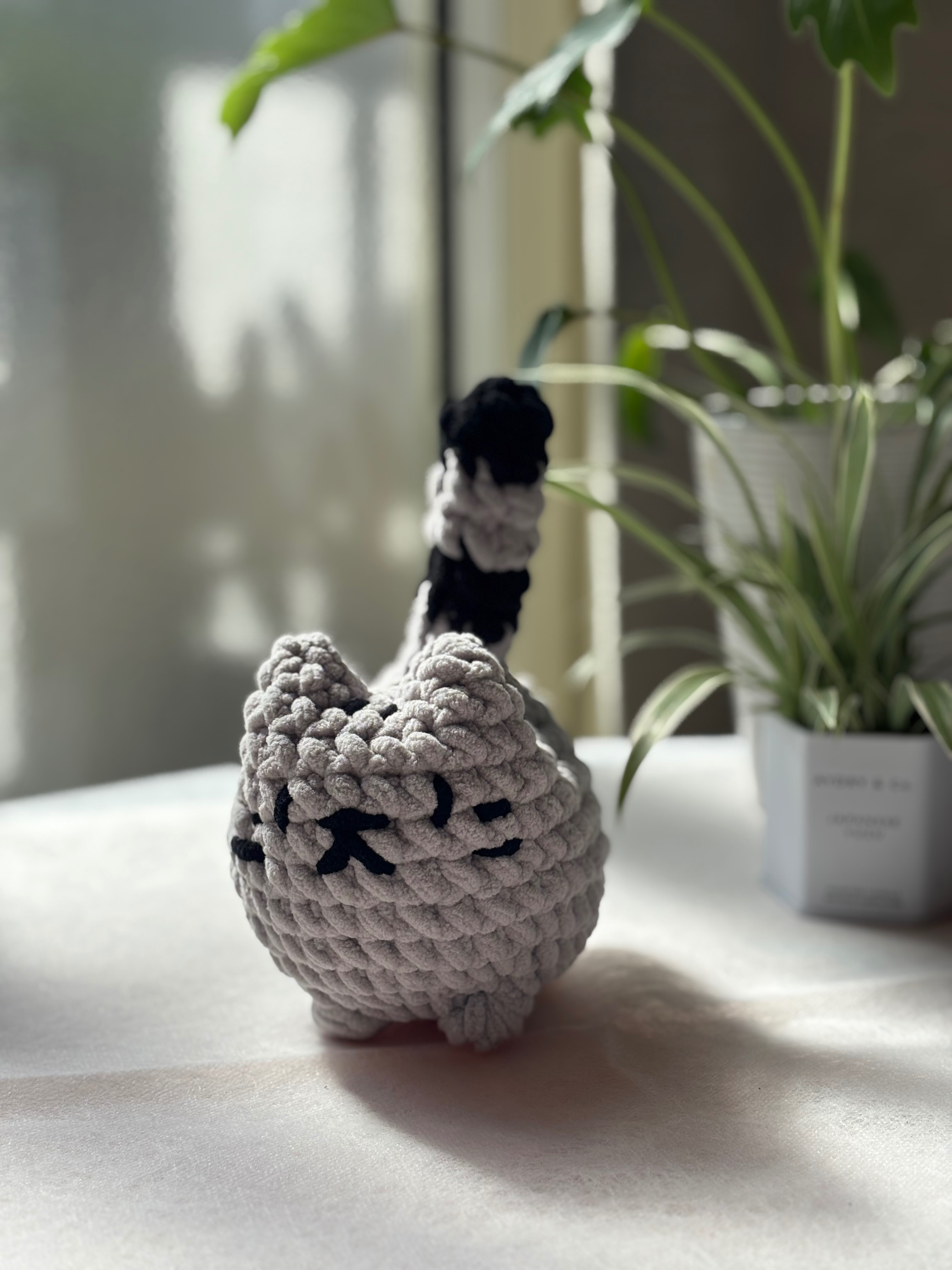 大貓貓狗狗玩偶區