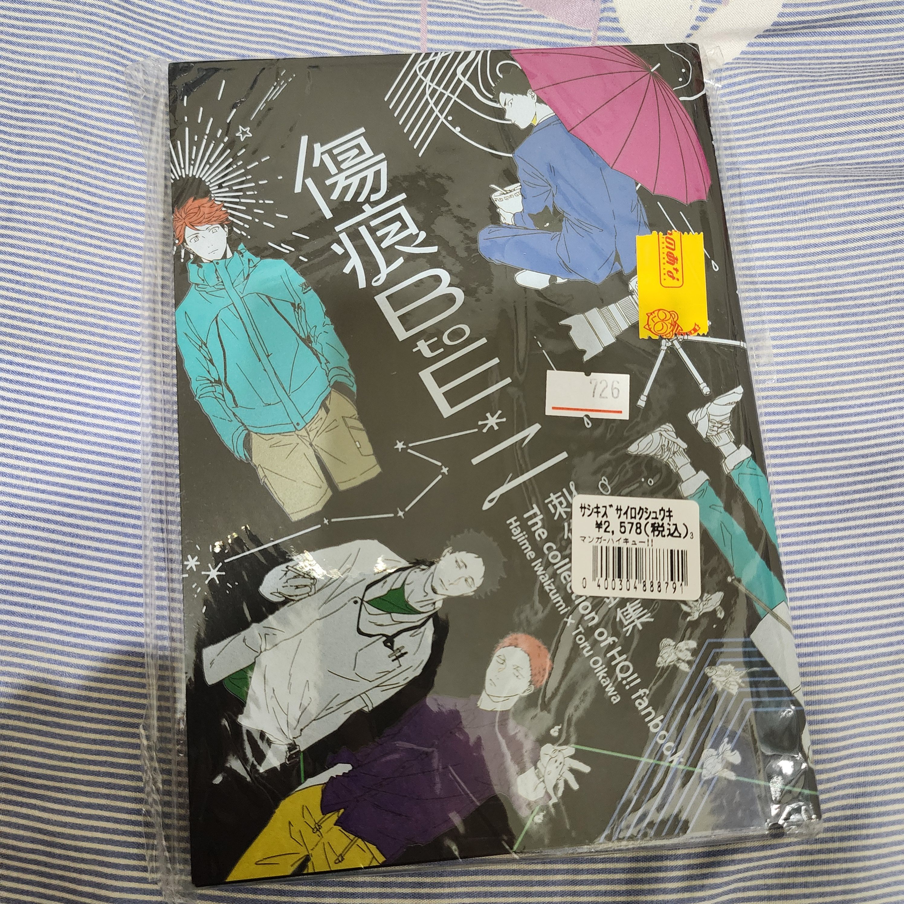 刺傷-岩及再錄本