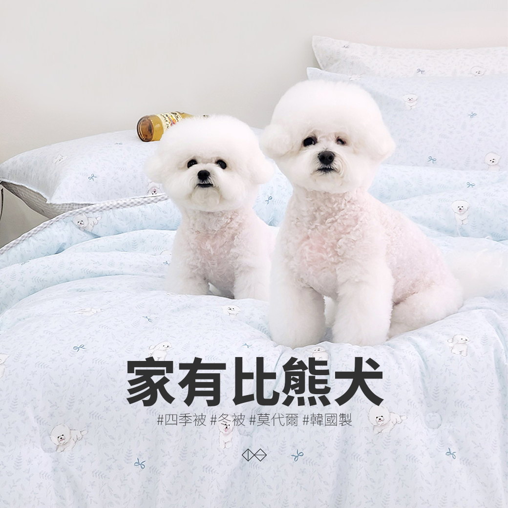[DSO003]家有比熊犬_四季被_冬被