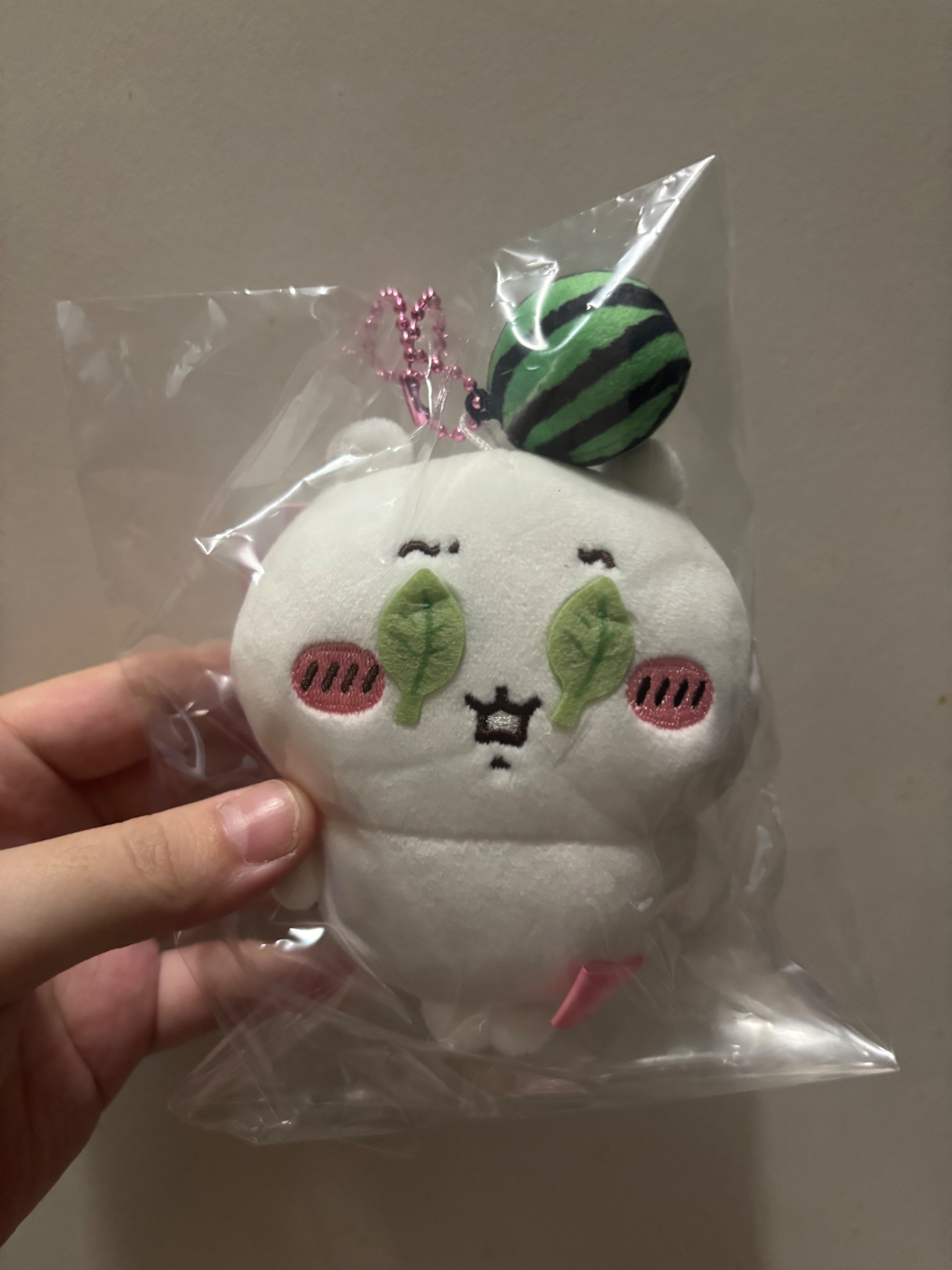 打西瓜系列