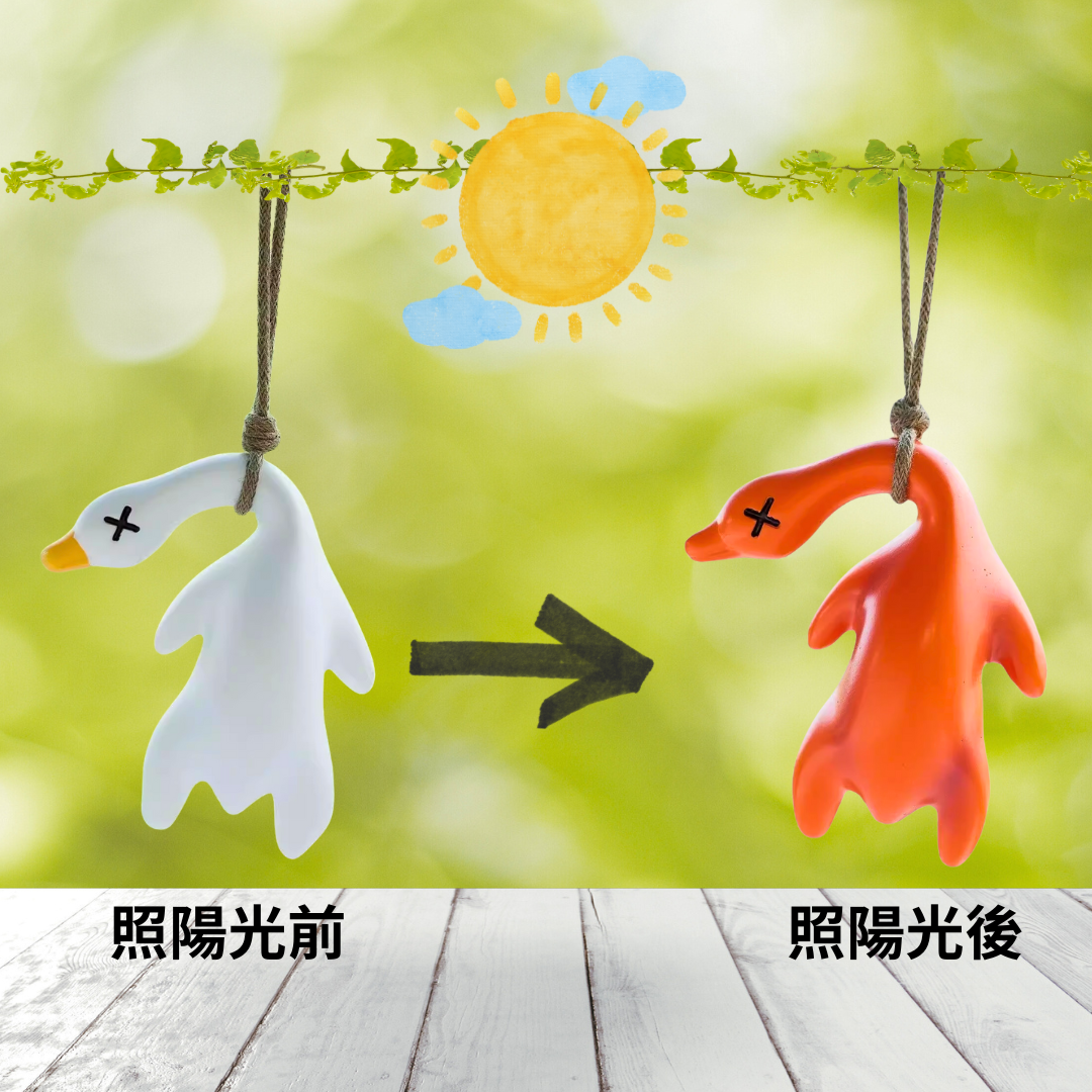 有趣送禮｜變色烤鴨