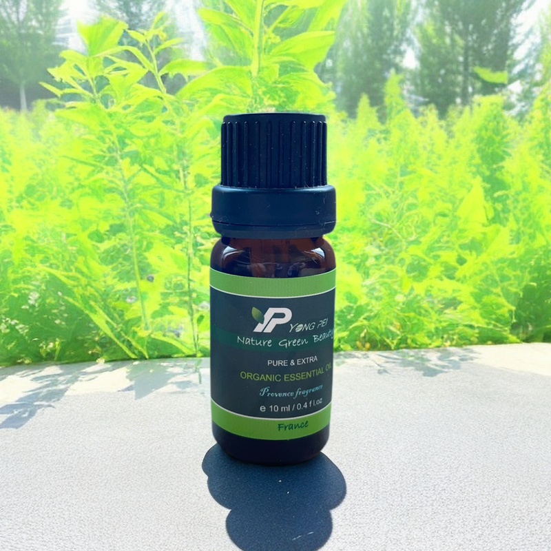 綠薄荷