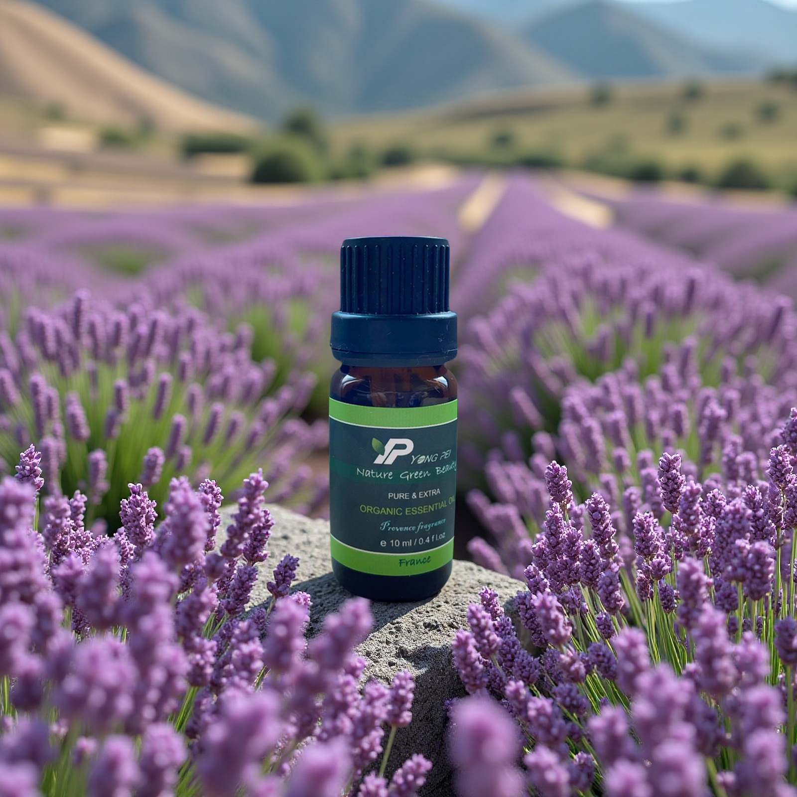 醒目薰衣草 / LAVANDIN OIL EXTRA / 🇫🇷法國原裝進口 / 開花的藥草蒸餾