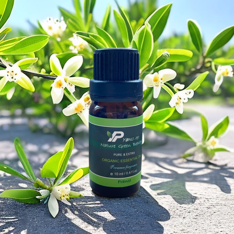 茉莉精油 / JASMIN / 法國原裝進口 / 法國知名大廠 /  10ml