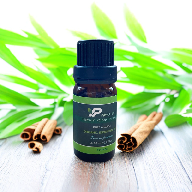 肉桂精油 / CINNAMON /法國原裝進口 / 法國知名大廠 10ml
