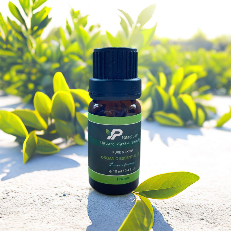 茶樹精油 / TEA TREE / 法國原裝進口 / 法國知名大廠 10ml