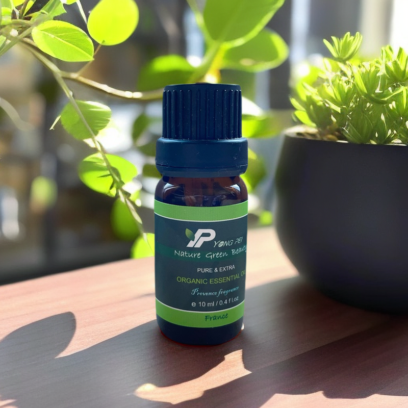 香柏精油 / CYPRESS / 法國原裝進口 / 法國知名大廠 10ml