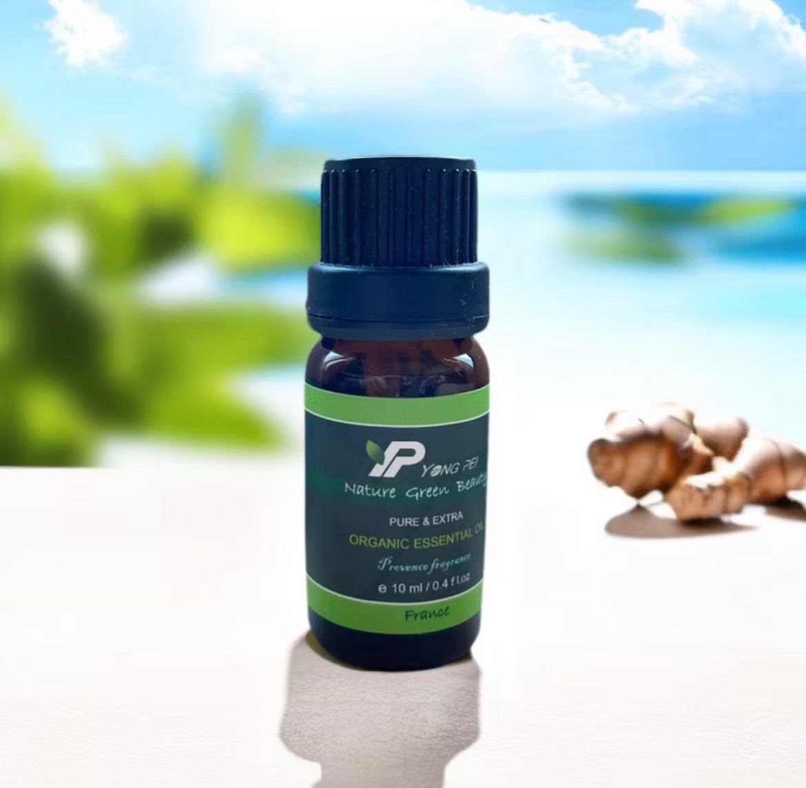 薑精油 / GINGER / 法國原裝進口 / 法國知名大廠 10ml