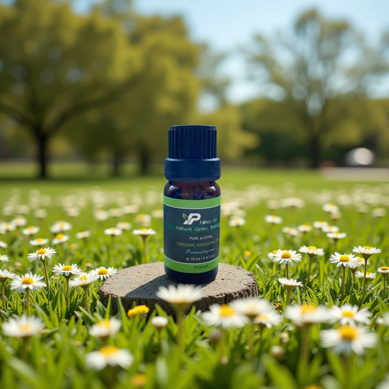 羅馬洋甘菊 / Chamomile /花蒸餾 / 原裝進口 /  10ml
