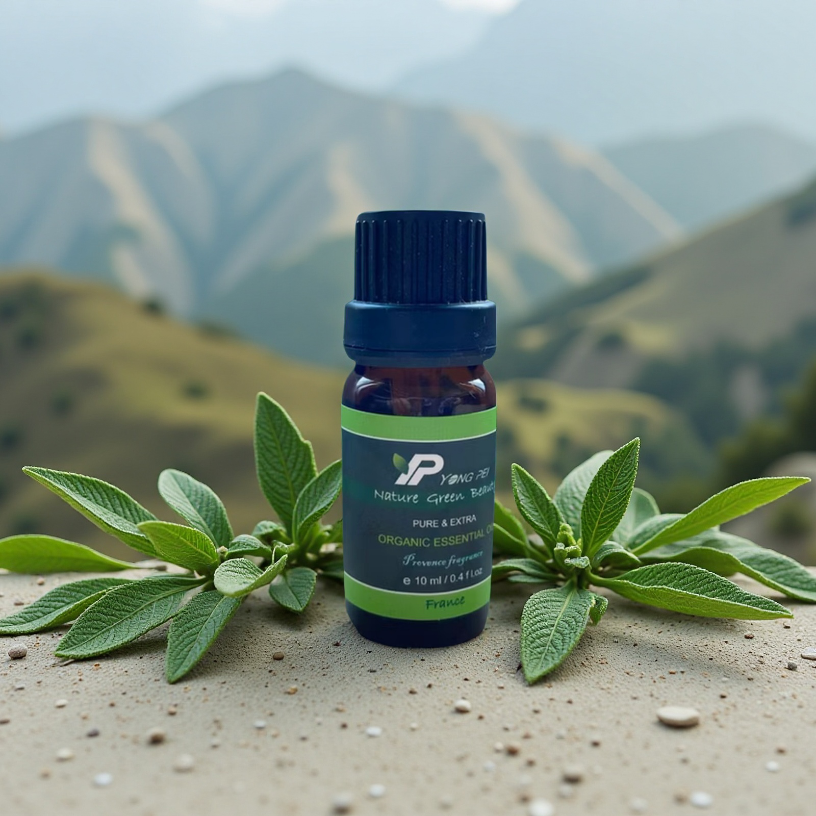 鼠尾草 / SAGE OIL / 鼠尾草精油 / 🇫🇷法國原裝進口/ 10ml
