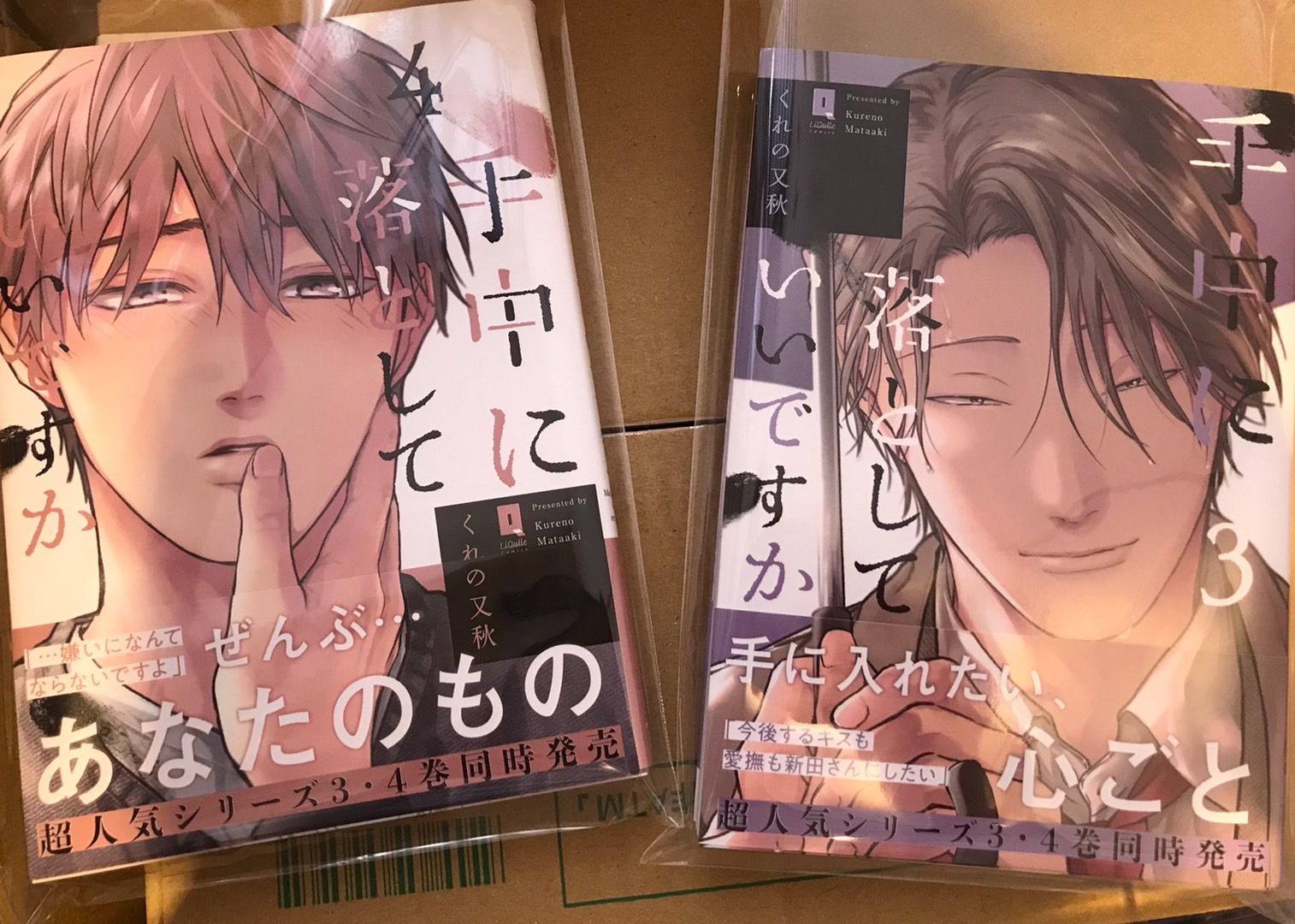 くれの又秋【我要將你納入手中/手中に落としていいですか】3-4