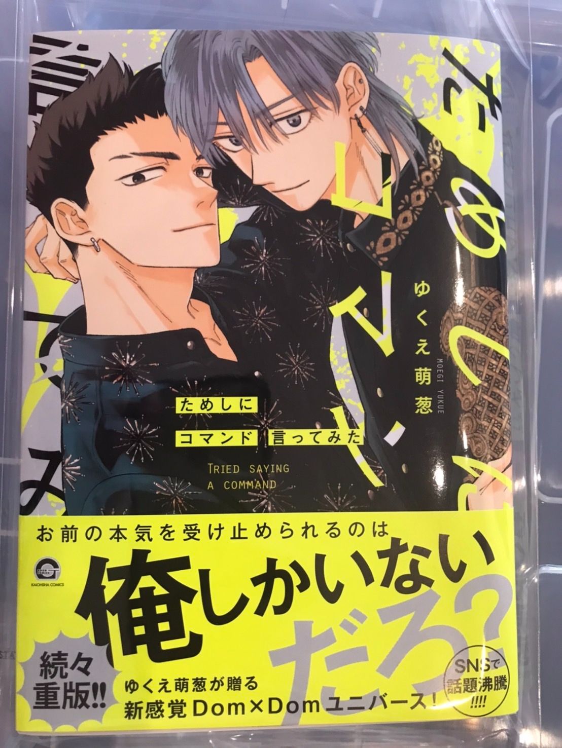 【ゆくえ萌葱】ためしにコマンド言ってみた1-2