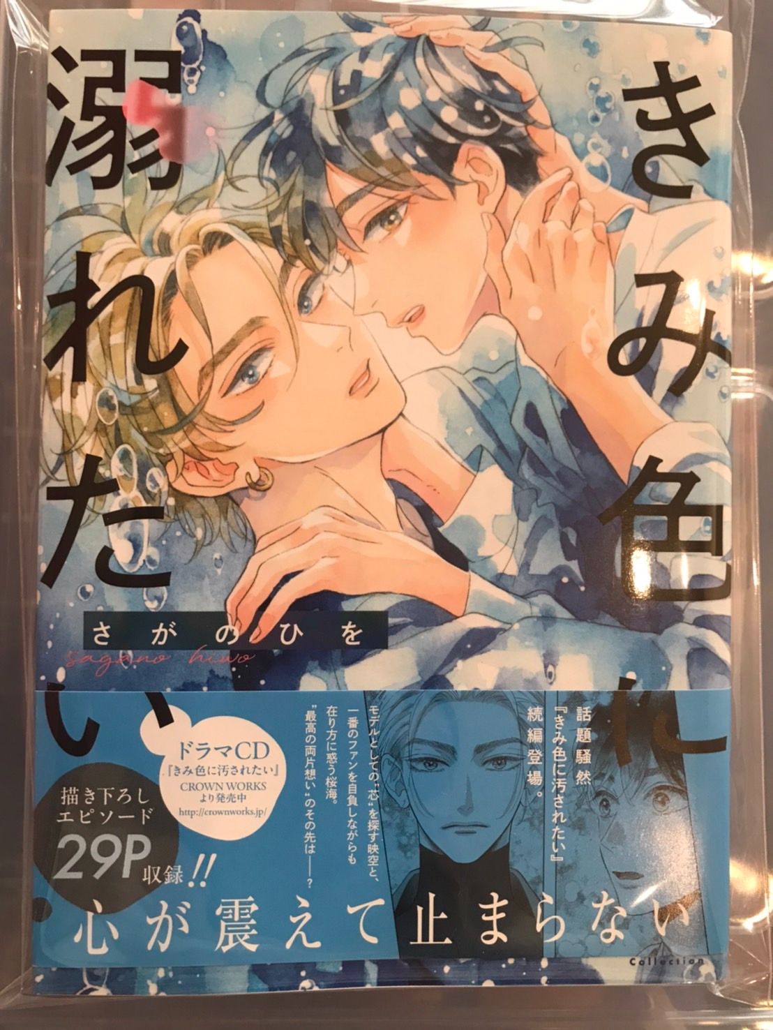 【さがのひを】きみ色に溺れたい/想被染成你的顏色 續