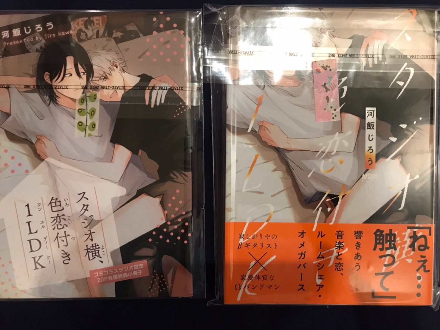 【河飯じろう】タジオ横、色恋付き1LD+comi20P小冊