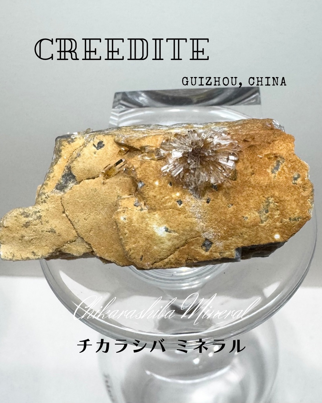 貴州石膏花