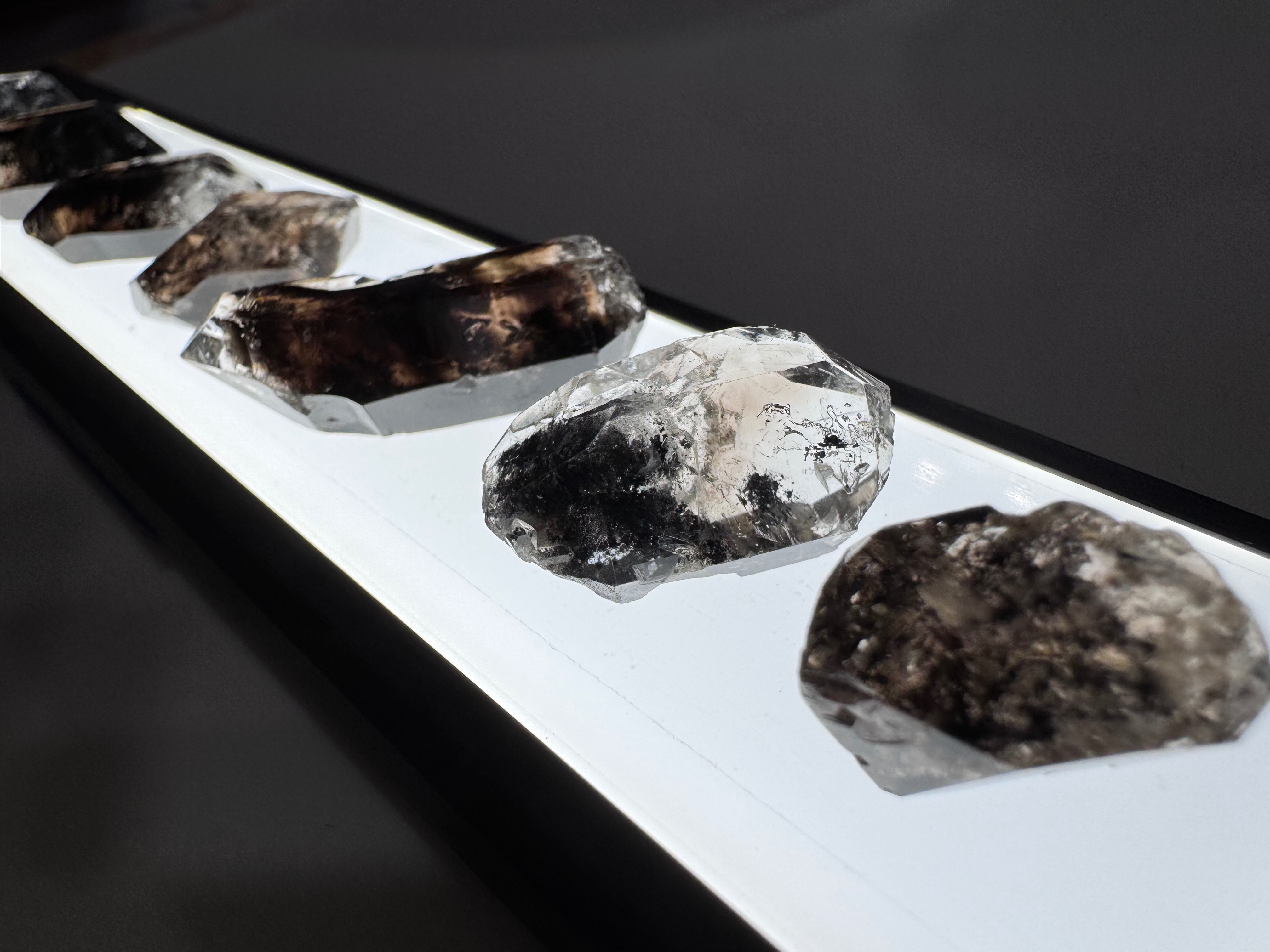 茶晶閃靈 聚會區