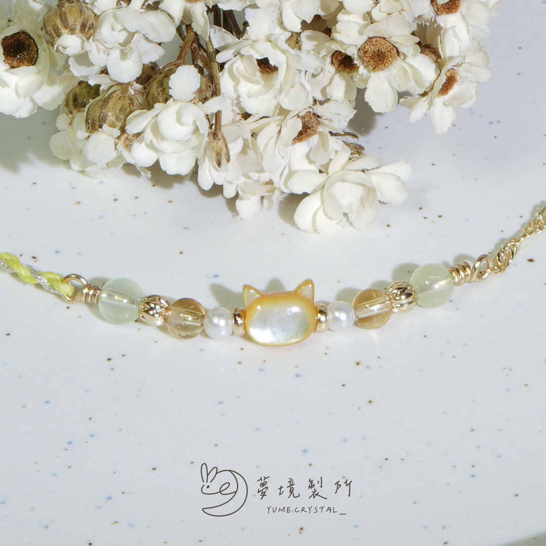 午後花園的貓⟡黃貓（鏈條款）